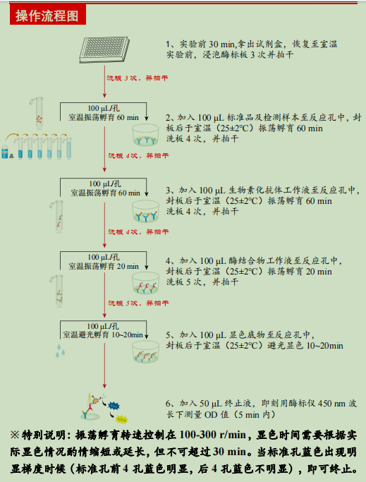 兔脂蛋白关联磷脂酶A2酶联免疫试剂盒