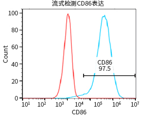 过表达稳定细胞系（株）构建服务