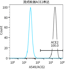 过表达稳定细胞系（株）构建服务