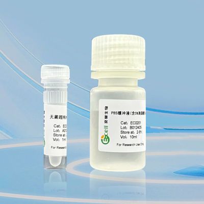 Tris 缓冲液(Tris) 5mM pH 7.6