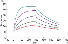 产品细节图片12
