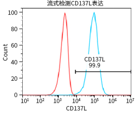 过表达稳定细胞系（株）构建服务