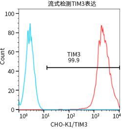 过表达稳定细胞系（株）构建服务
