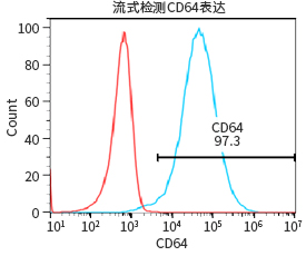 过表达稳定细胞系（株）构建服务