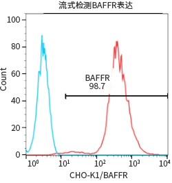 过表达稳定细胞系（株）构建服务