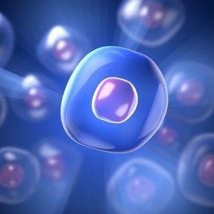 Panc03.27 人胰腺癌细胞