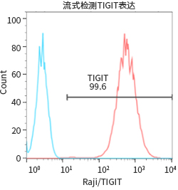 过表达稳定细胞系（株）构建服务