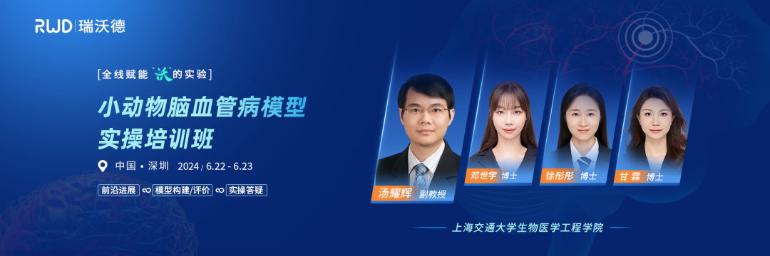 名师团队教学 | 瑞沃德小动物脑血管病模型实操培训班开始报名啦！