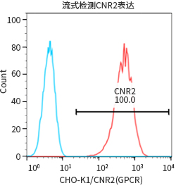 过表达稳定细胞系（株）构建服务