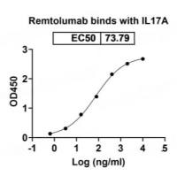 重组人SNX3蛋白(C-His标签)