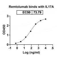 重组Yersinia enterocolitica Invasin蛋白(N-His-SUMO标签)