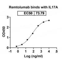 重组人MCM7蛋白(N-His标签)