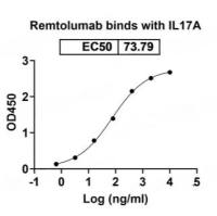 重组Alternaria rot fungus Alt a 1/ALTA1蛋白(N-His标签)