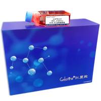 人GPR119(NM178471)-CHO-K1过表稳转株