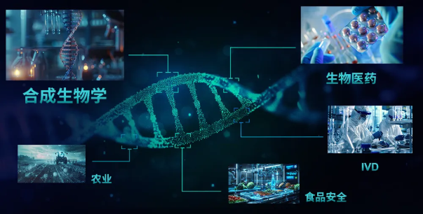 基因序列的复杂难度演变