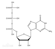 核苷酸产品介绍
