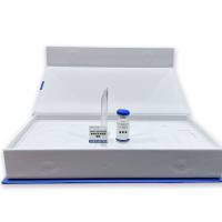 CMCC(B)54002单核增生李斯特菌株