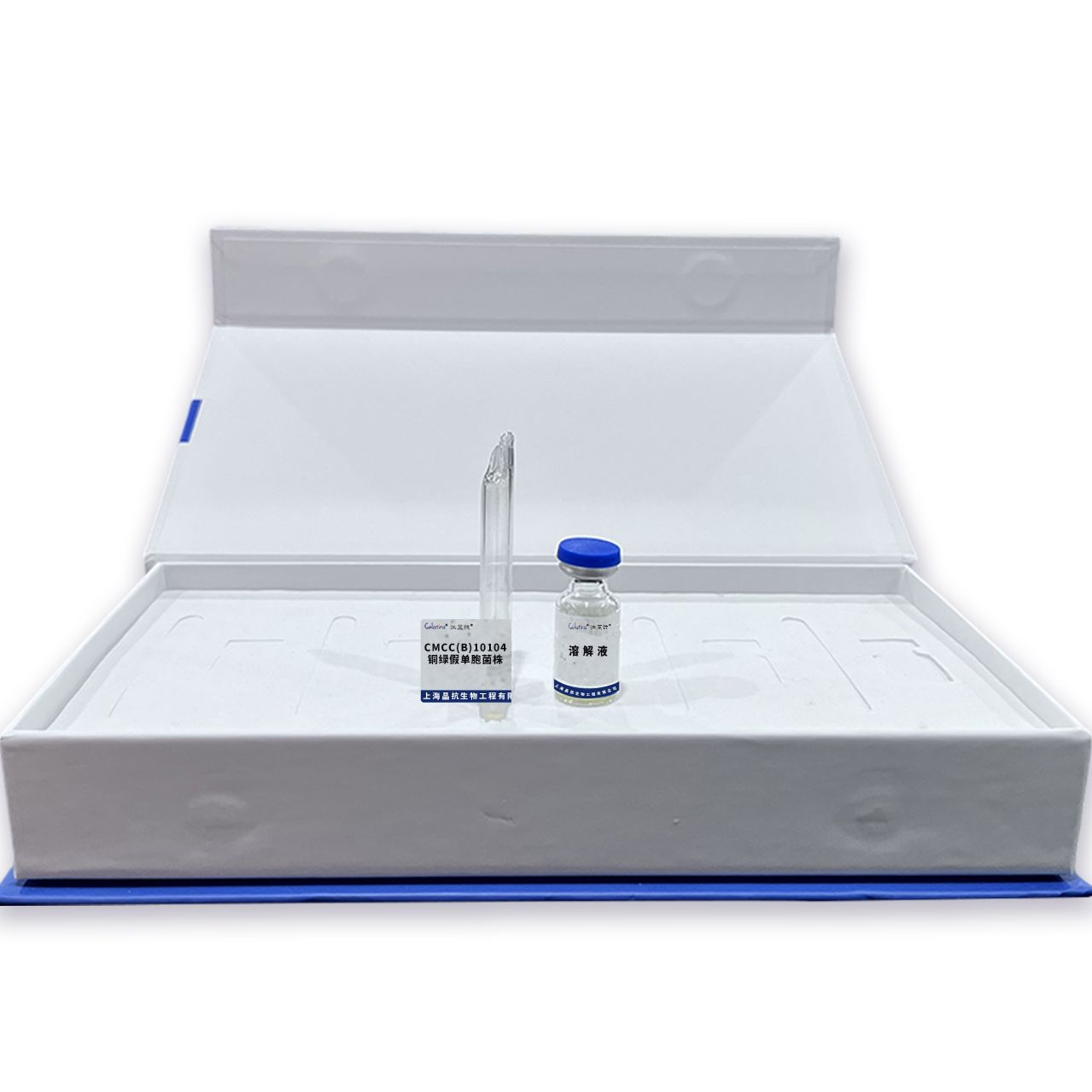 CMCC(B)10104铜绿假单胞菌株