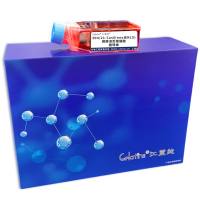 3D4/21-Cas9(neo无NLS)猪肺泡巨噬细胞 稳转株