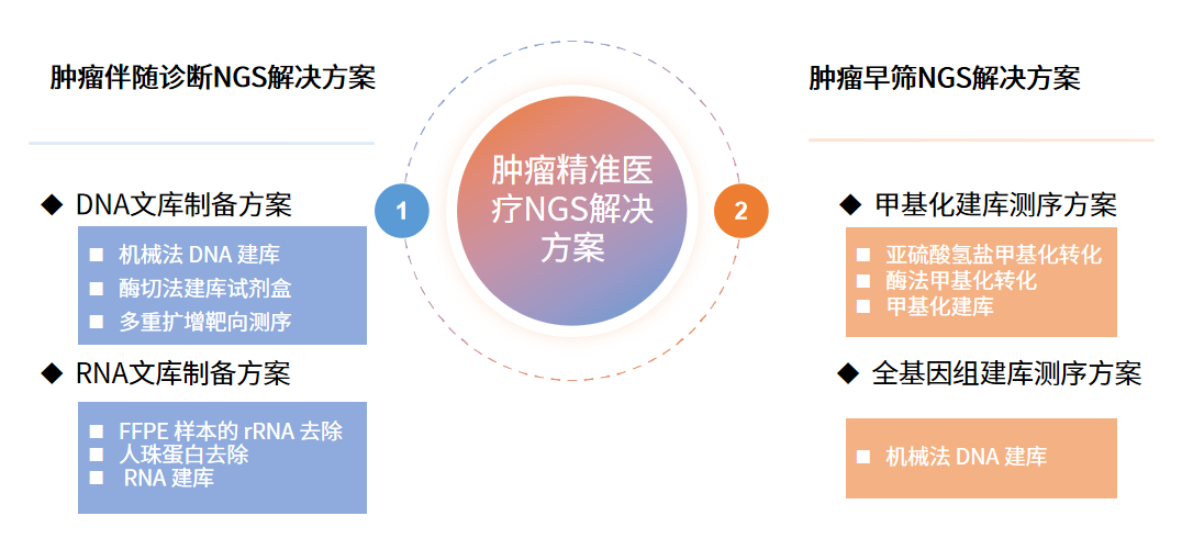 解决方案 | 肿瘤诊治新篇章：翌圣NGS技术助力精准医疗
