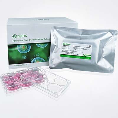 多聚-D-赖氨酸包被表面产品