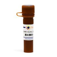 通关藤苷H (98%, HPLC)