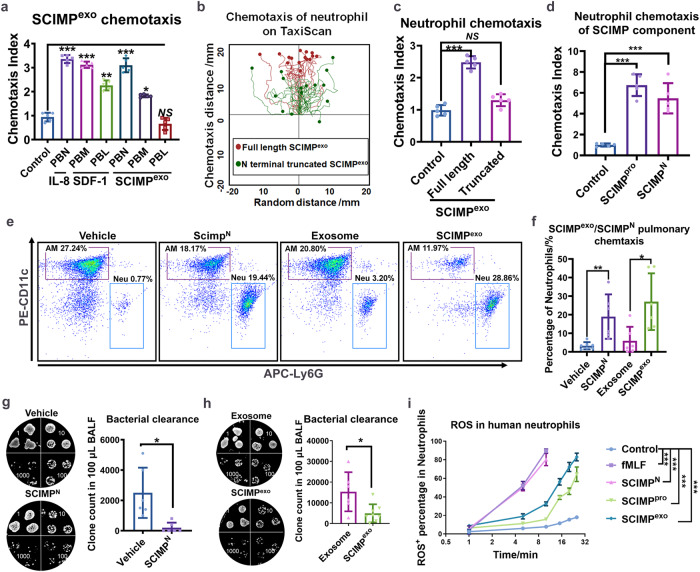 外泌体技术服务