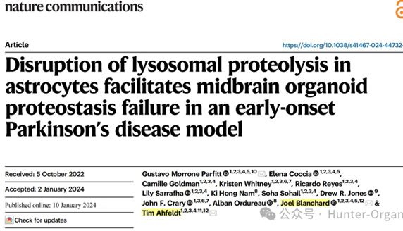 IF=11.9丨衰老与帕金森病相关联？Nature子刊：脑类器官模型揭示了星形胶质细胞在衰老与帕金森病中的致病作用