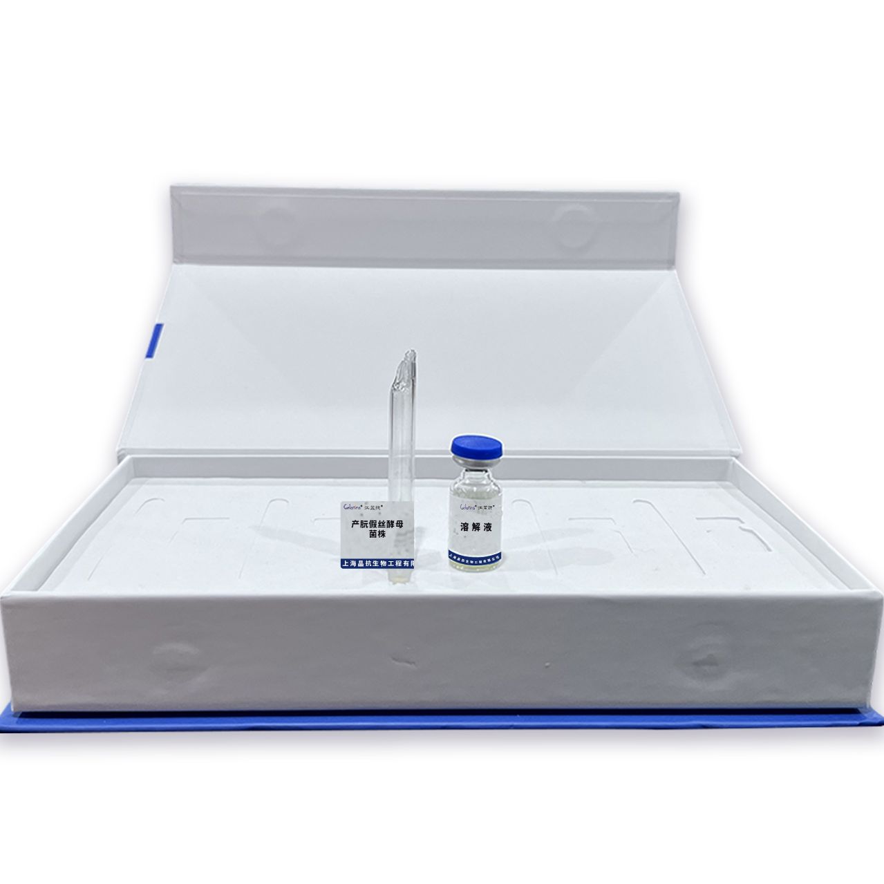 产朊假丝酵母菌株