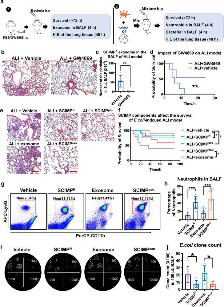 外泌体技术服务