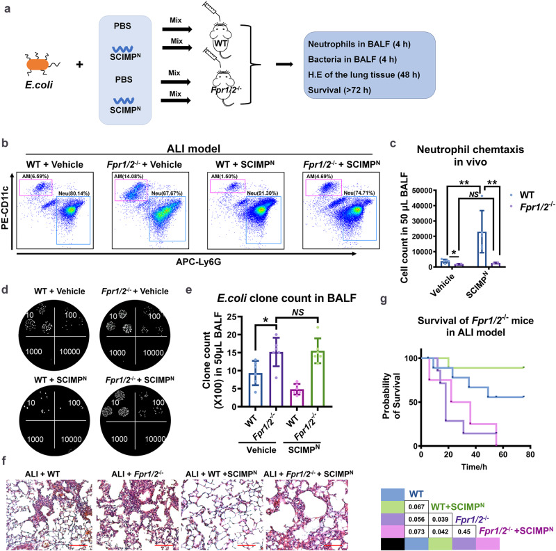 外泌体技术服务