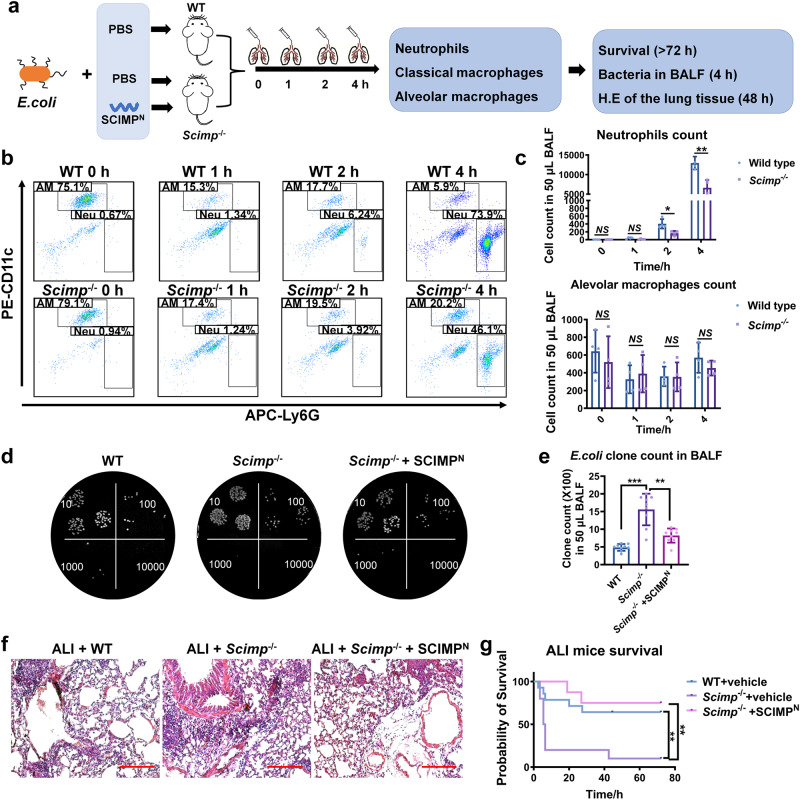 外泌体技术服务