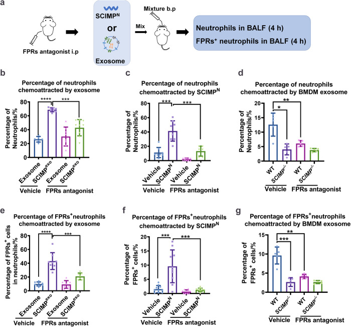 外泌体技术服务