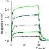SPR/BLI分子互作检测服务