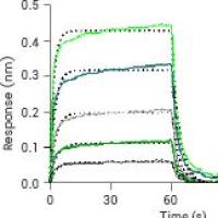 SPR/BLI分子互作检测服务