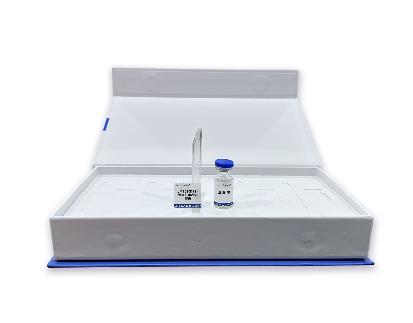 JM109(DE3)大肠杆菌表达菌株