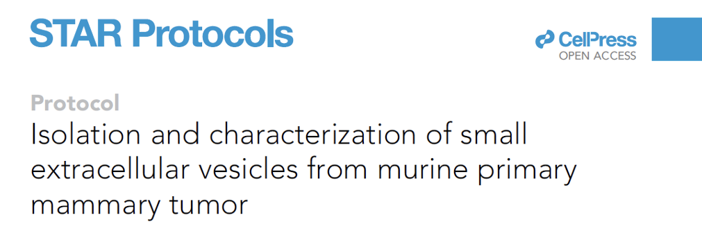 新鲜出炉！超速离心如何助力肿瘤研究？