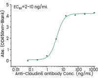 VLP形式的膜蛋白表达服务