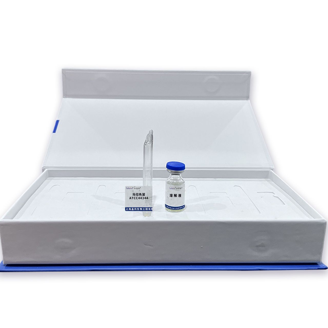 马拉色菌 ATCC44344