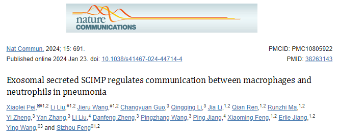【Nat Commun】16+，外泌体分泌的SCIMP调节肺炎中巨噬细胞和中性粒细胞之间的通讯
