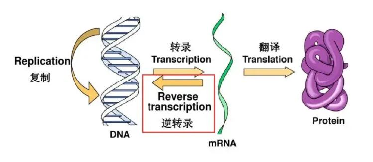 1717467308173861.png 1717467308173861.png