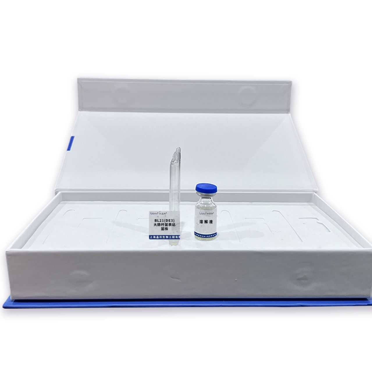 BL21(DE3)大肠杆菌表达菌株