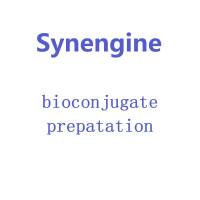 多肽  蛋白  抗体的HIS标记生物素