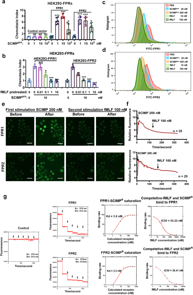 外泌体技术服务