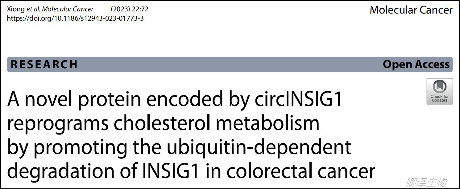 客户文章 | 梁振兴/康亮团队揭示环状RNA在结直肠癌中的作用