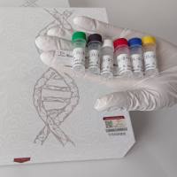 前列腺素E2(PGI2)酶联免疫试剂盒