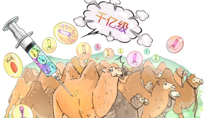 纳米抗体│横空出世——CamNano系列（纳米抗体/纳米抗体文库/抗体筛选服务）