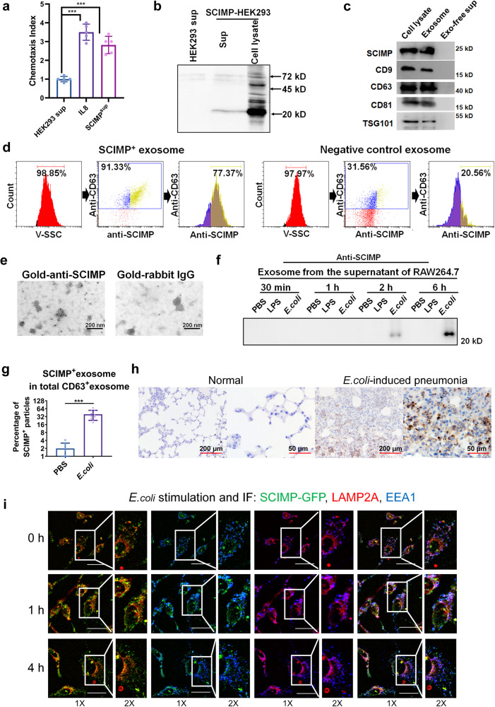 外泌体技术服务