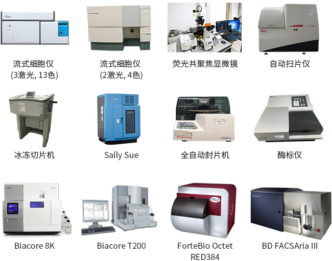 产品细节图片14