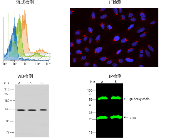 产品细节图片12